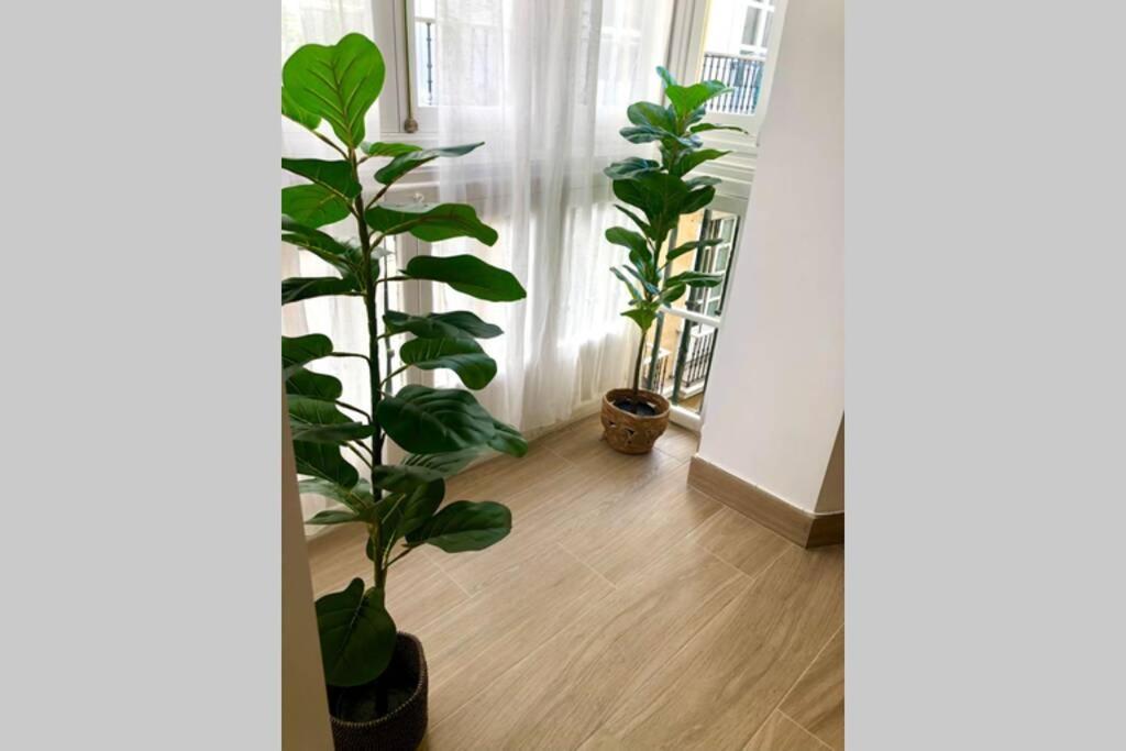 Gatu Premium Villa Libertad, Preferente Mayores De 25 Anos Y Familias Cádiz Exterior foto